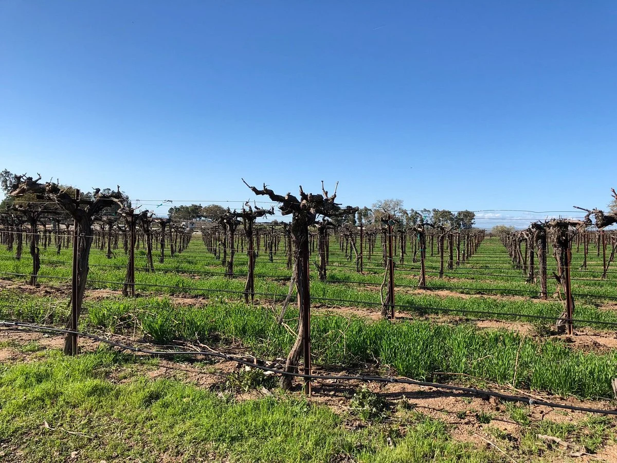Mitchella Vineyard & Winery