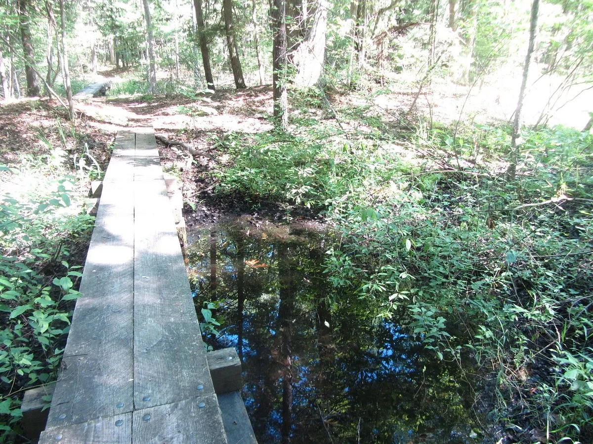 Good Harbor Bay Trail