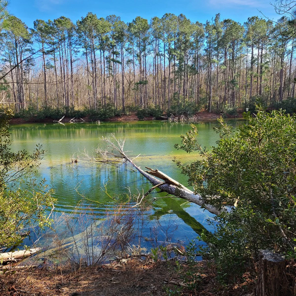 Sewee Visitor & Environmental Education Center