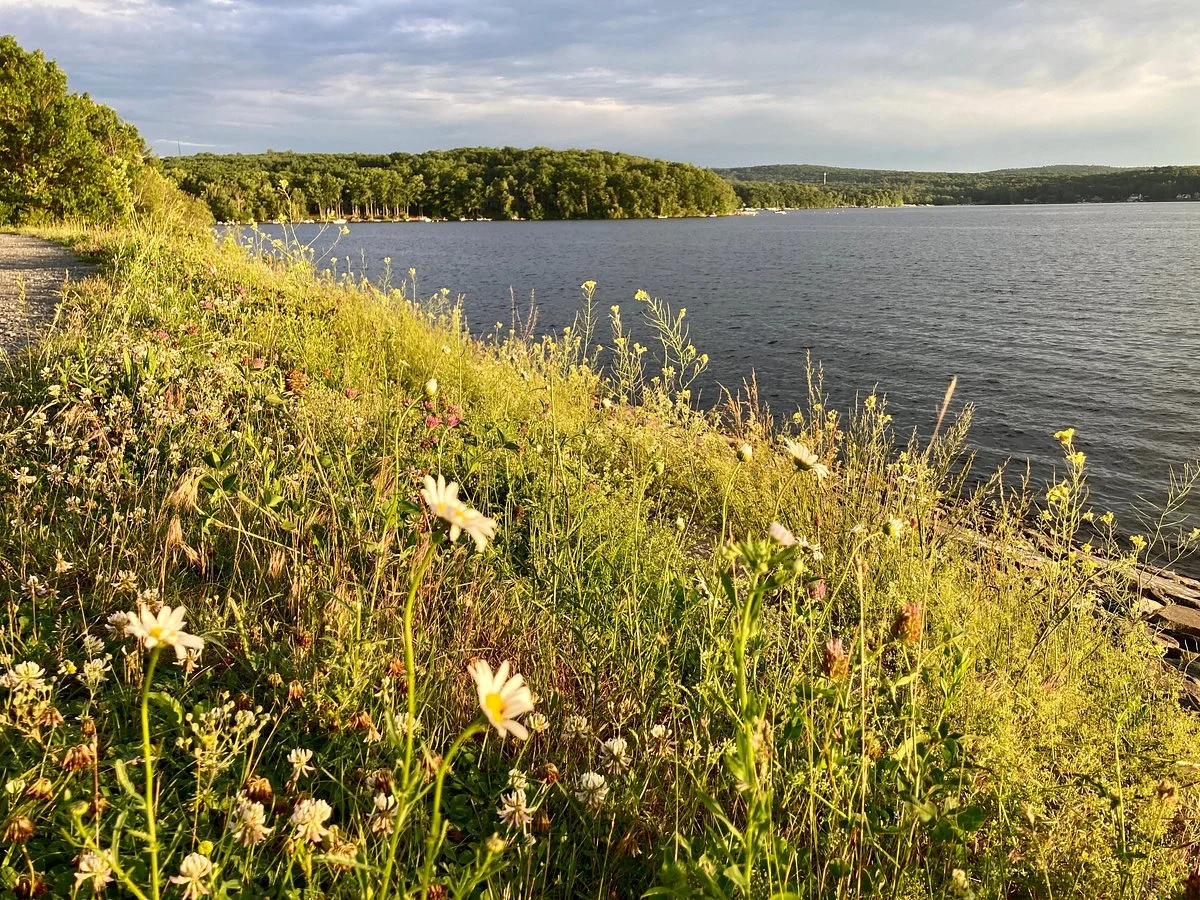 Wallenpaupack Lake Trail