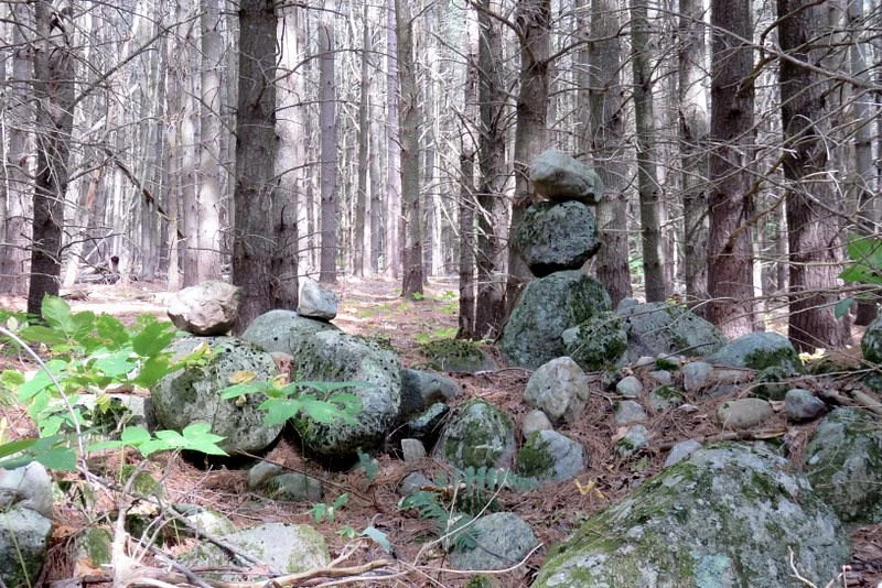 Beaver Brook Trails