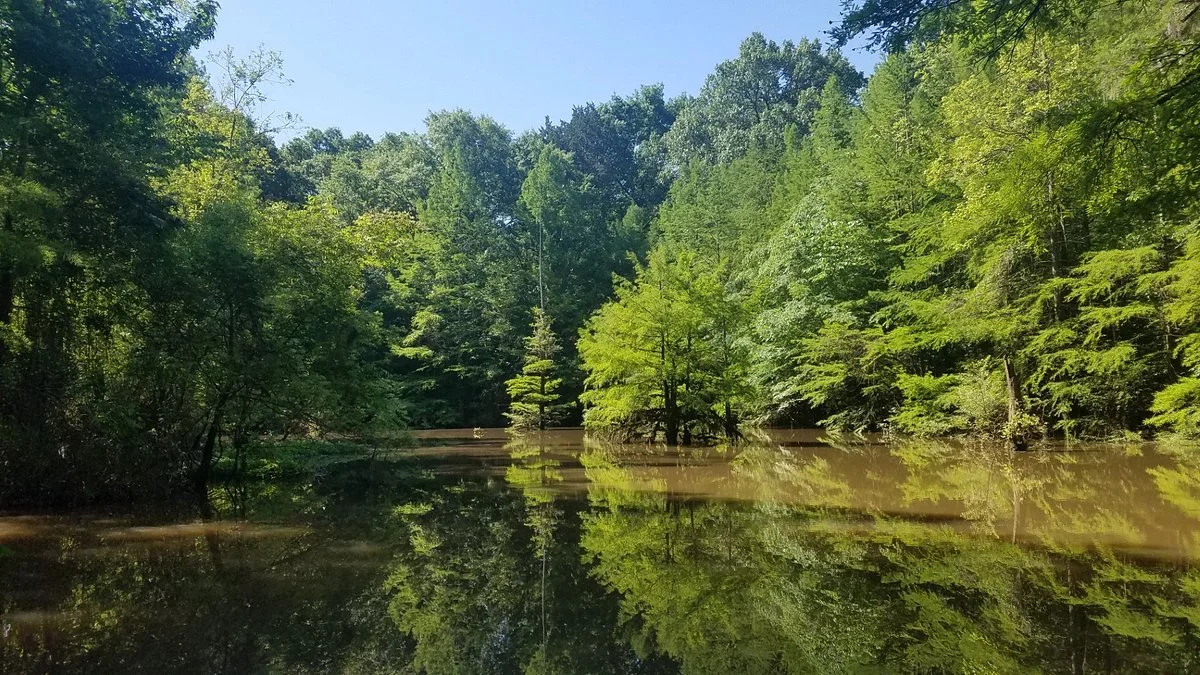Old Cahawba Archaeological Park