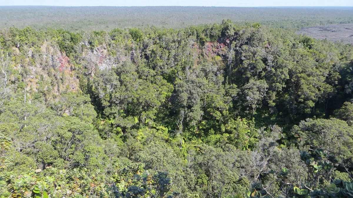 Pu'u Huluhulu trail