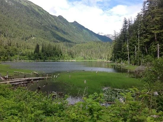 Heart Lake Trail