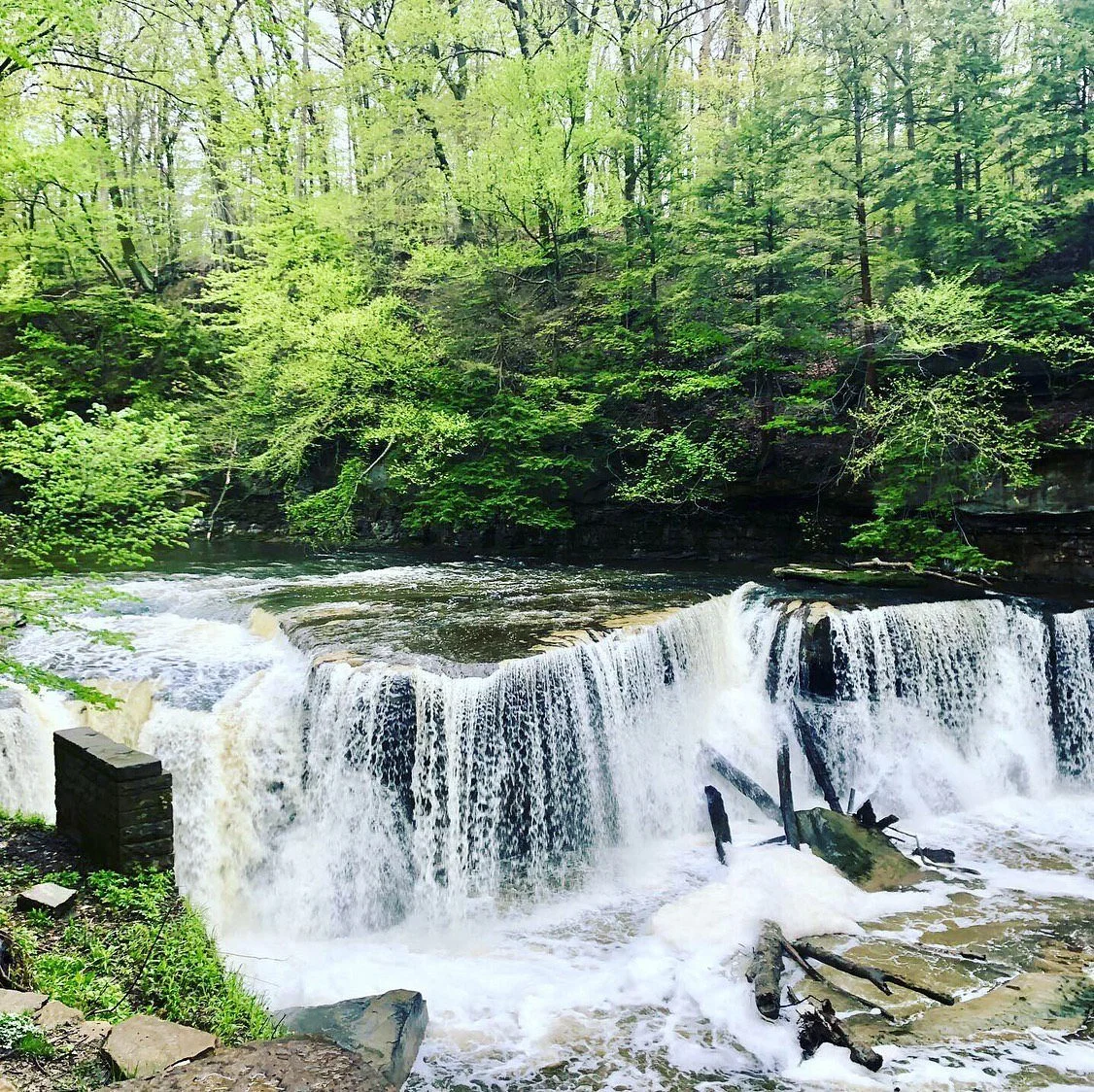 Tinkers Creek Viaduct Park