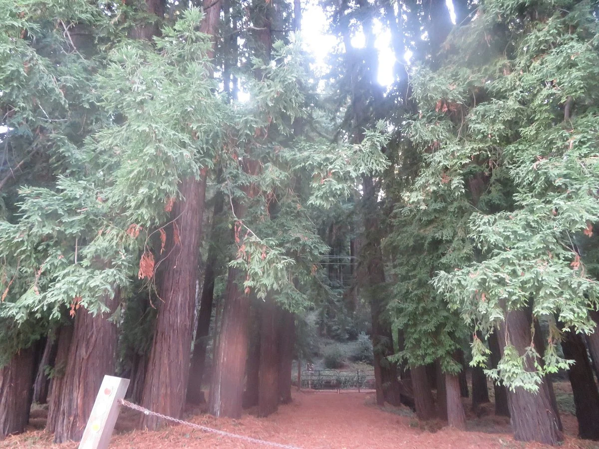 Highlands Santa Cruz County Park