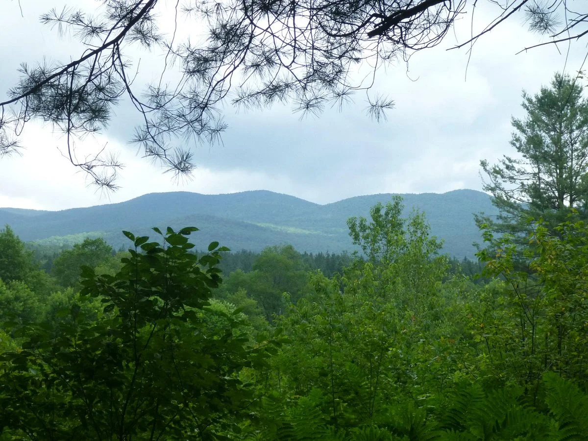 Robert Frost Wayside Trail