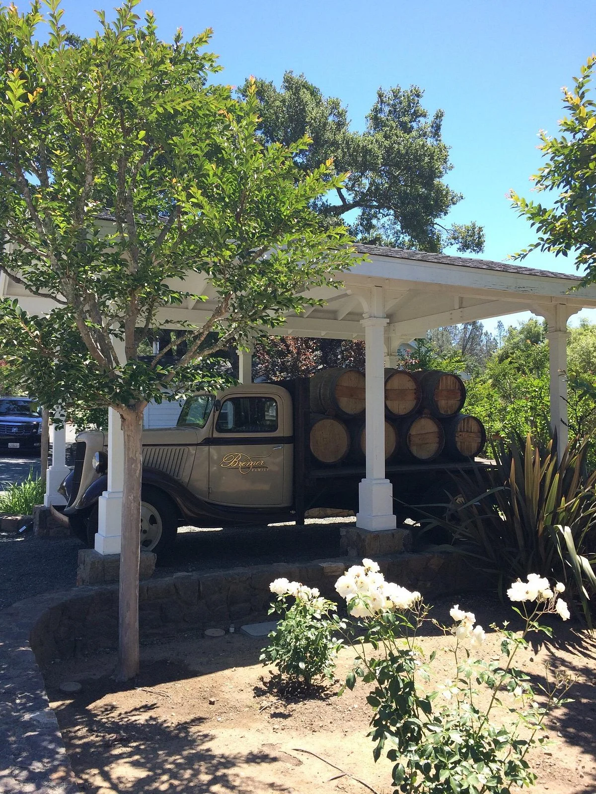 Bremer Family Vineyard