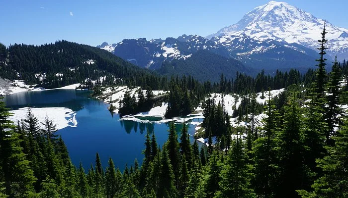 Tolmie Peak Trail
