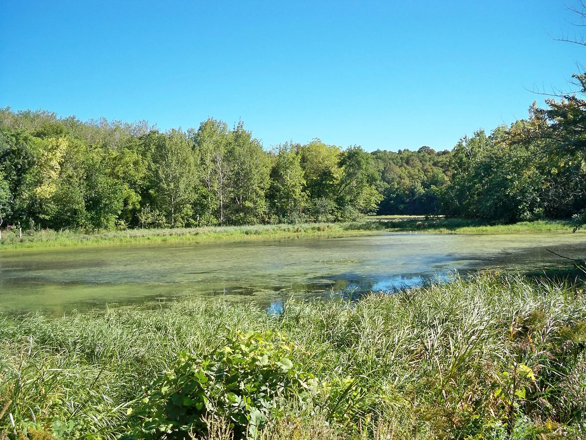 Pilot Knob State Park