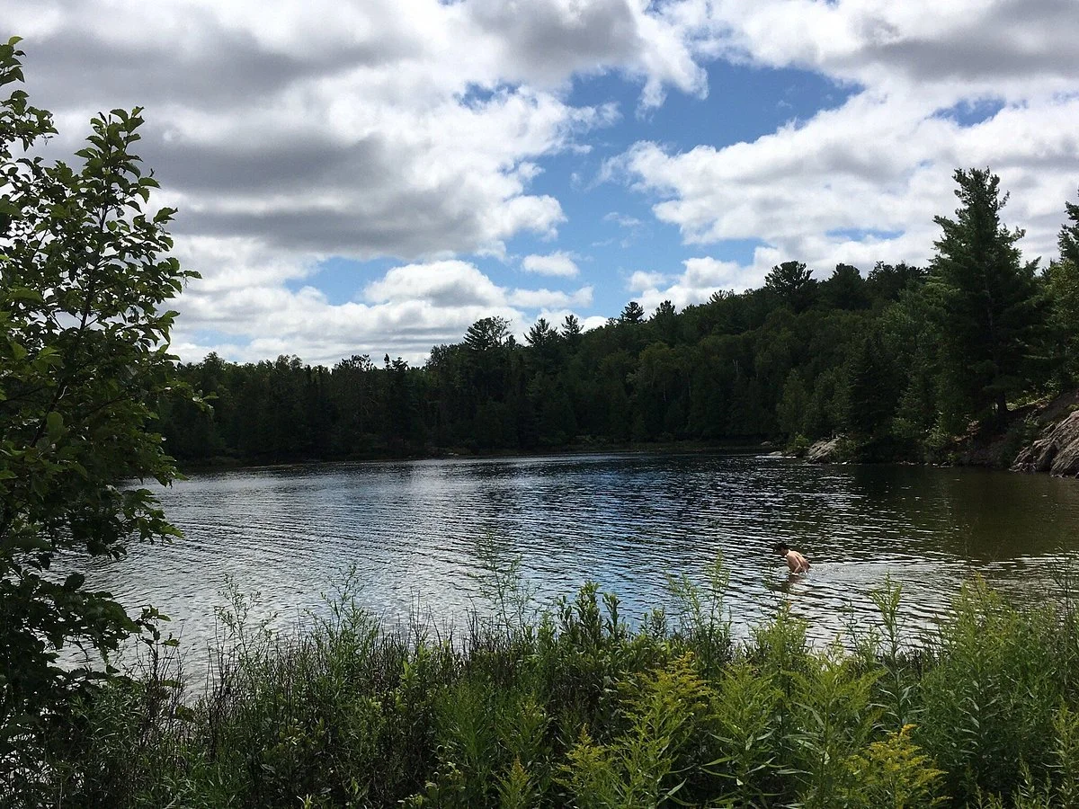 The Cove