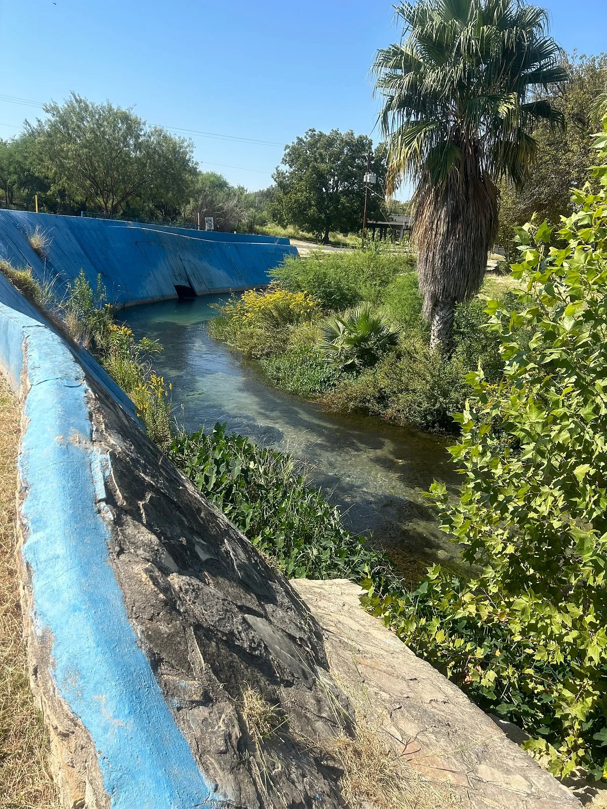 Moore Park Public Pool