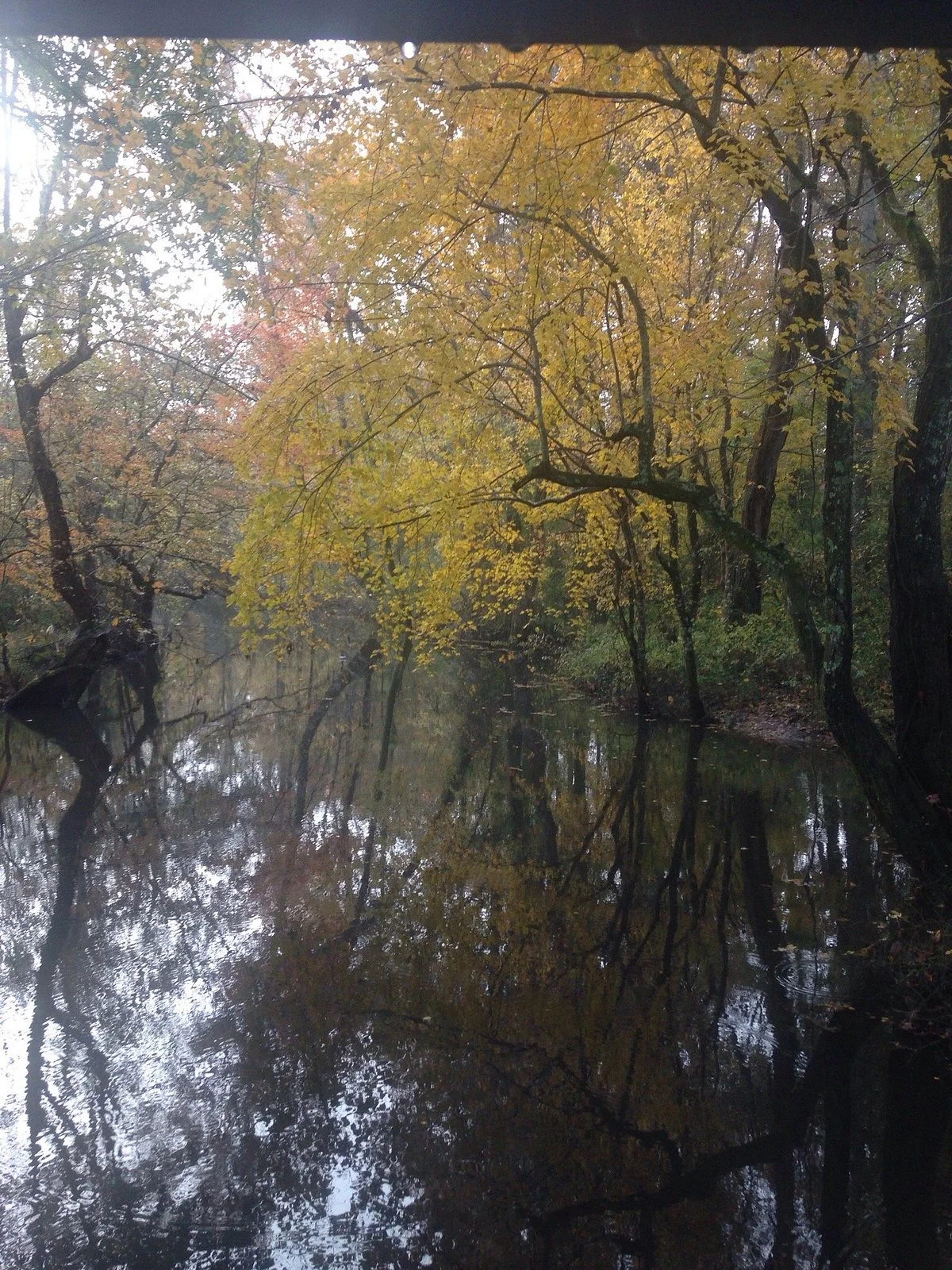 Rock Creek Greenway
