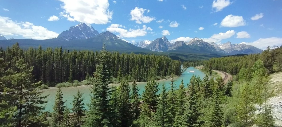 Morant's Curve
