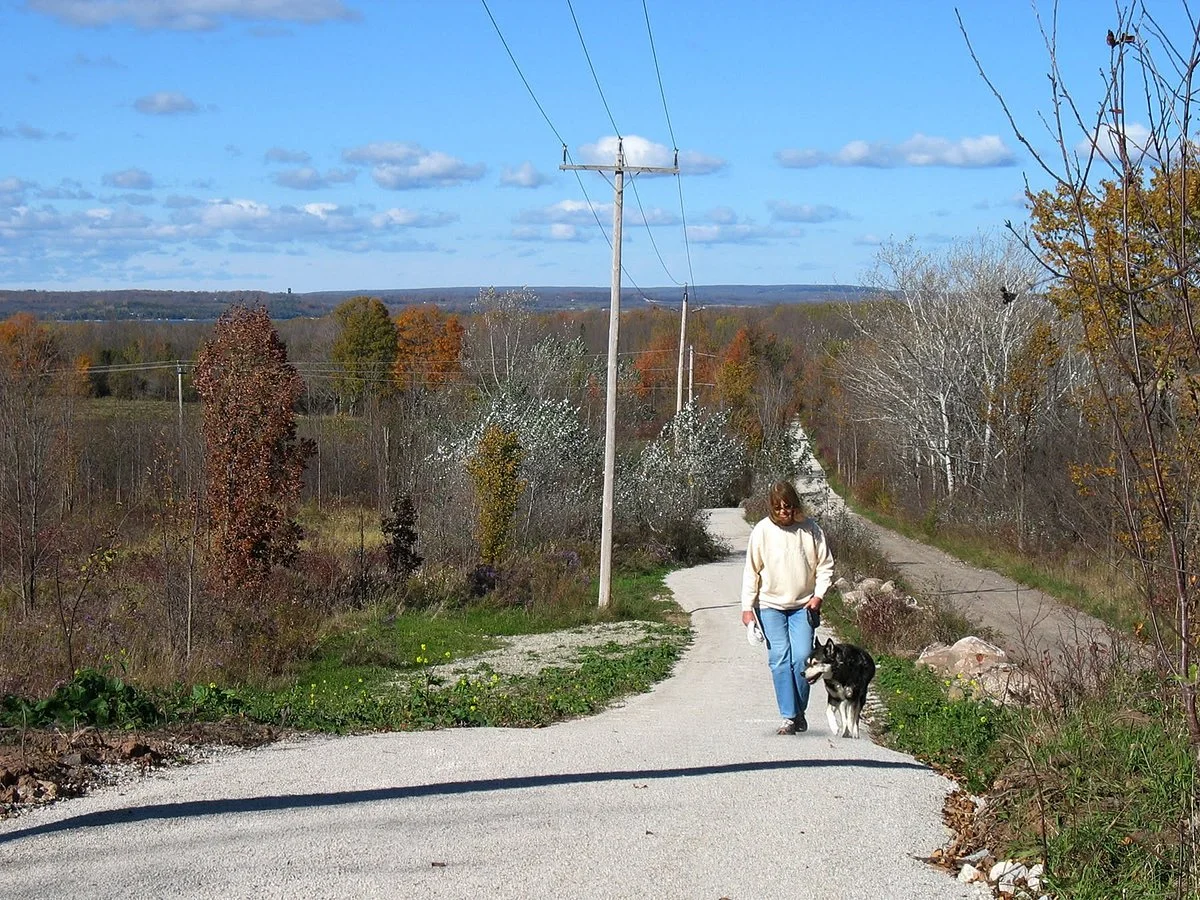 Tom Thomson Trail