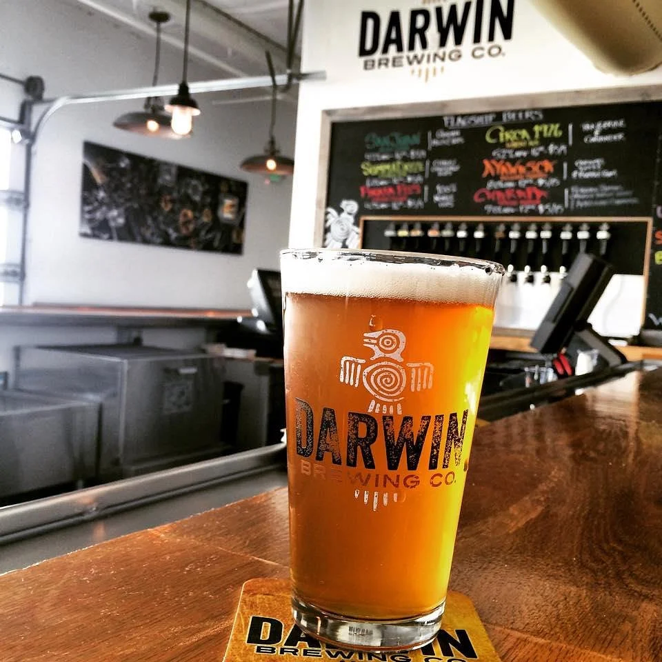Darwin Brewing Company, Beer Garden, and Taproom