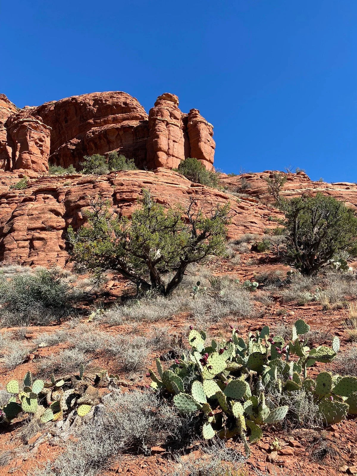 Thunder Mountain Trailhead