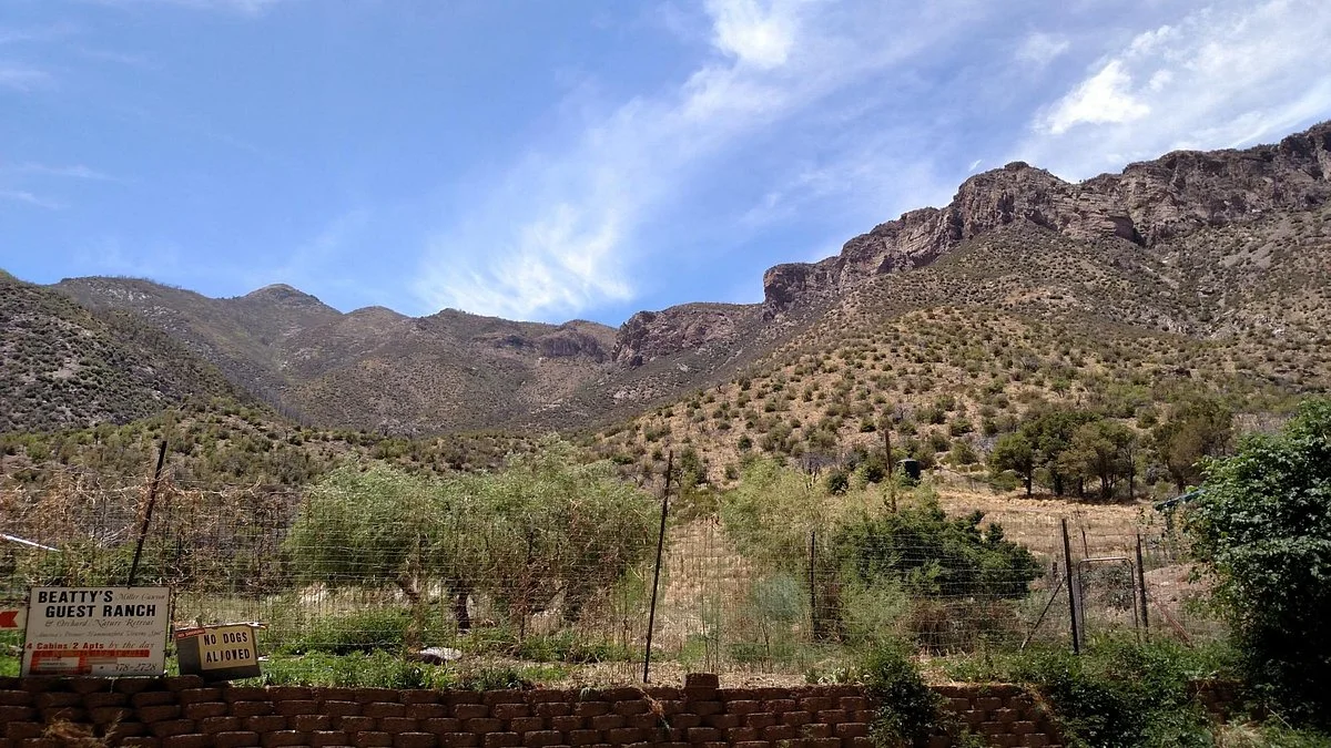 Beatty's Miller Canyon Apiary & Orchard