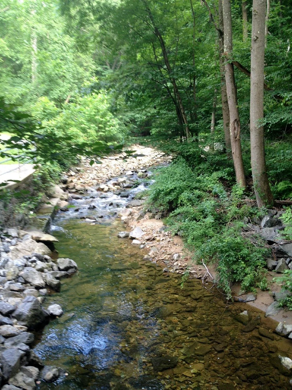 Dowlin Forge Park