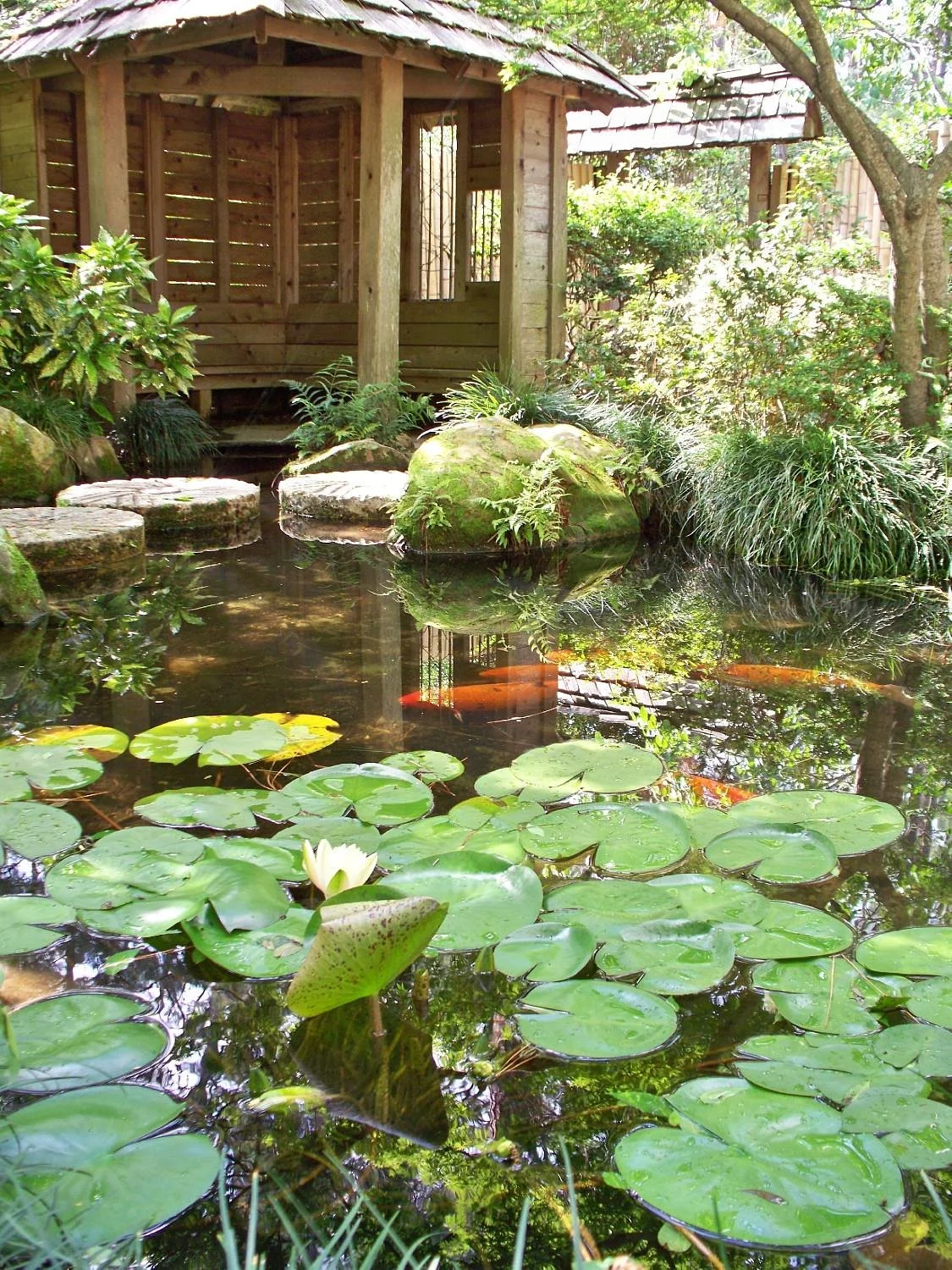 Massee Lane Gardens