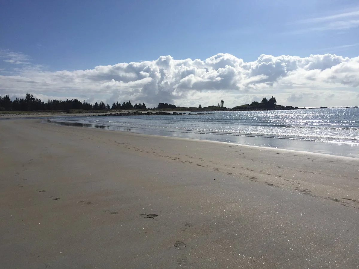 Beach Meadows Beach Park