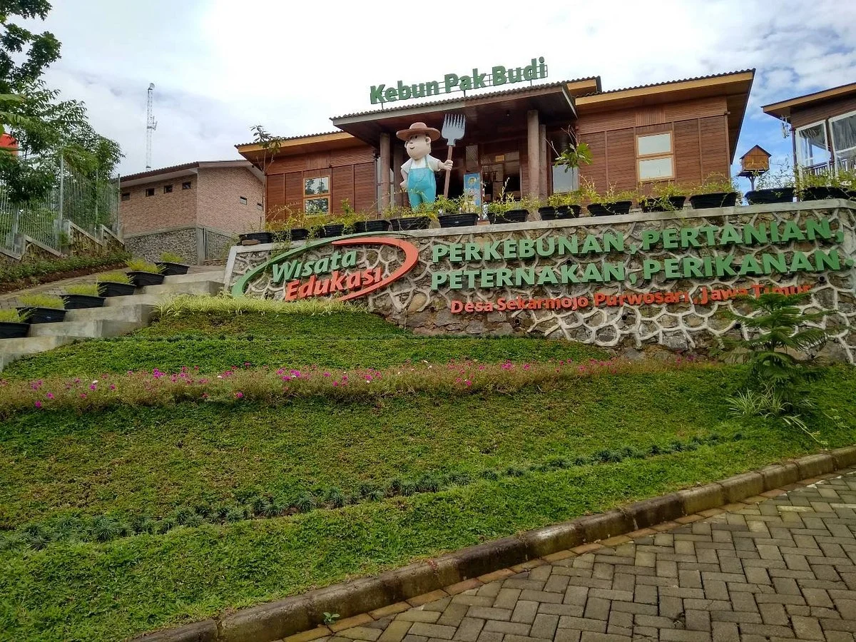 Kebun Pak Budi