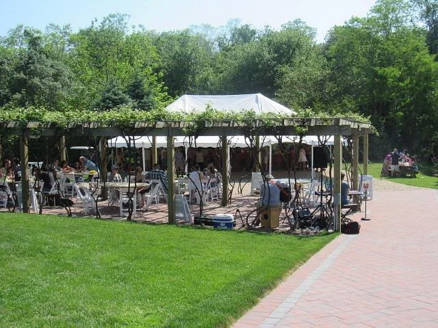 Pugliese Vineyards