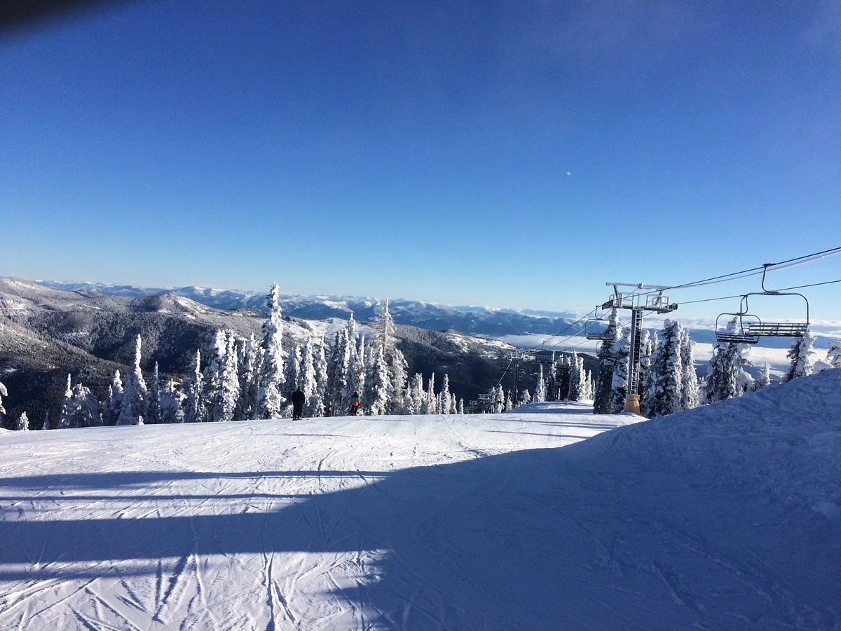 49 Degrees North
