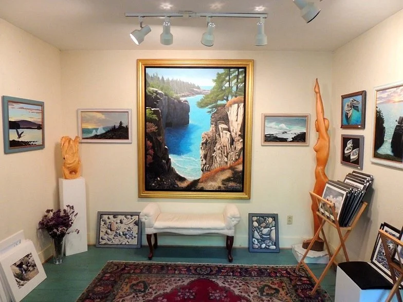 Spring Woods Gallery