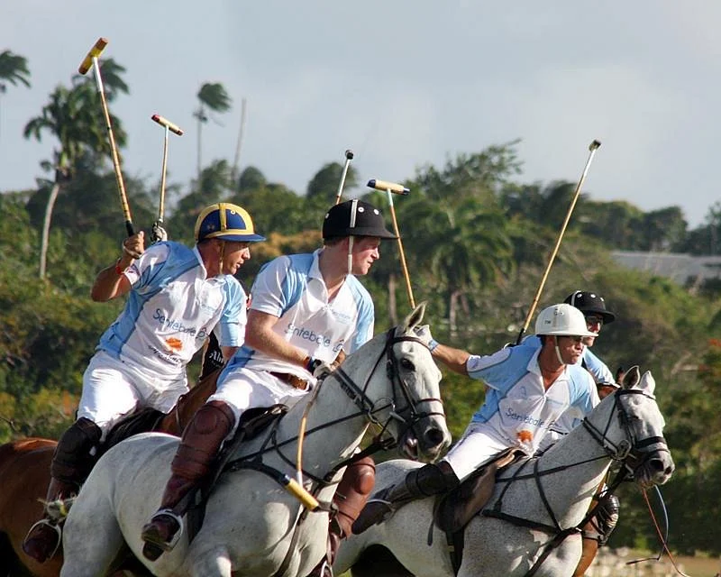 Apes Hill Polo Club