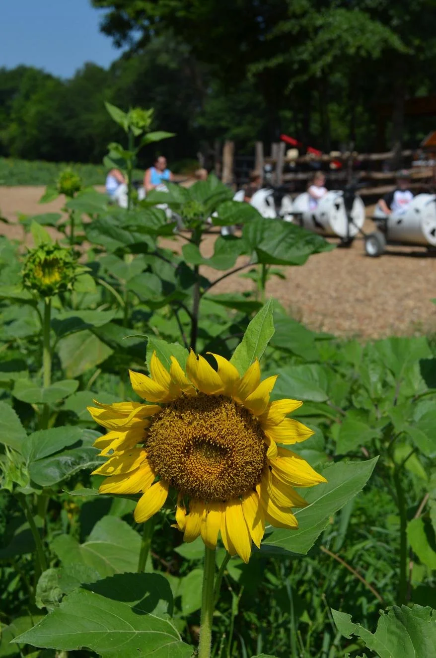 Copper Creek Farm