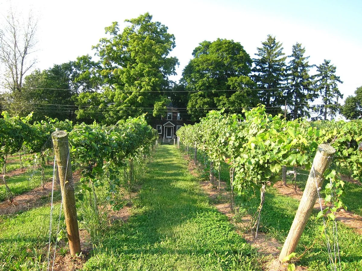 Armstrong Valley Winery