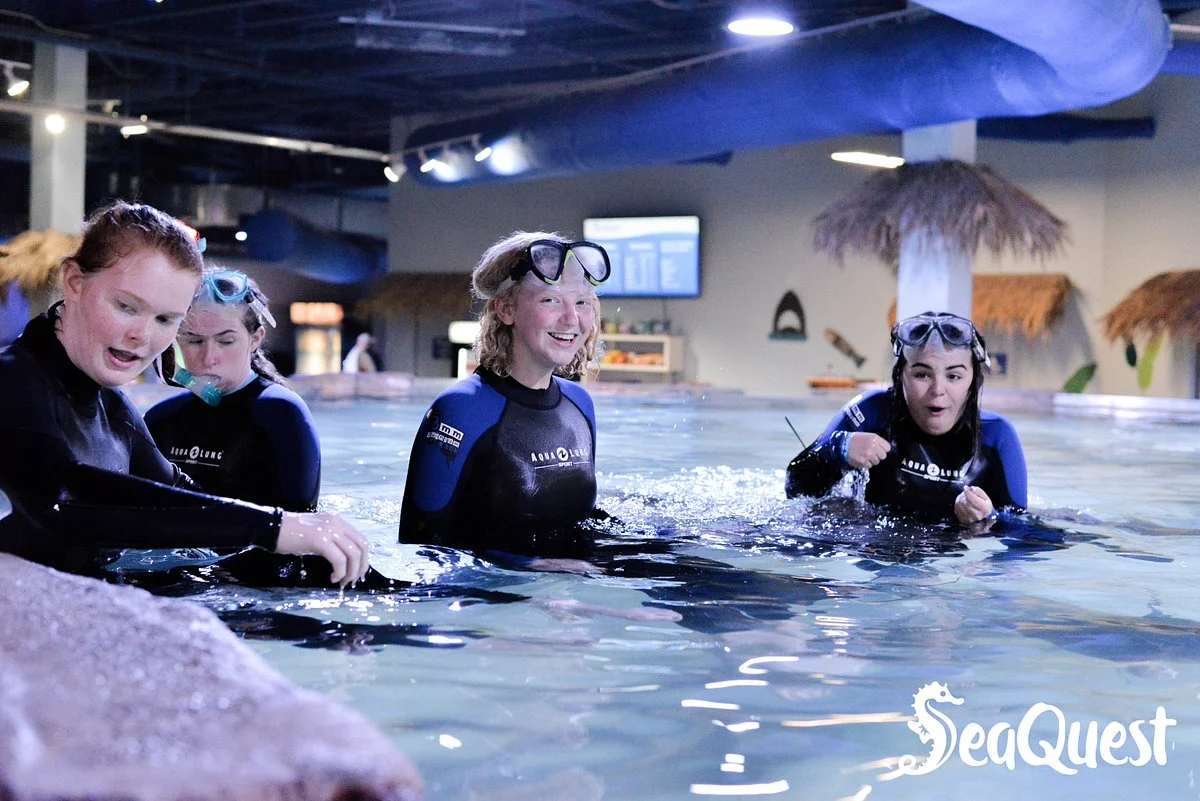 SeaQuest Woodbridge
