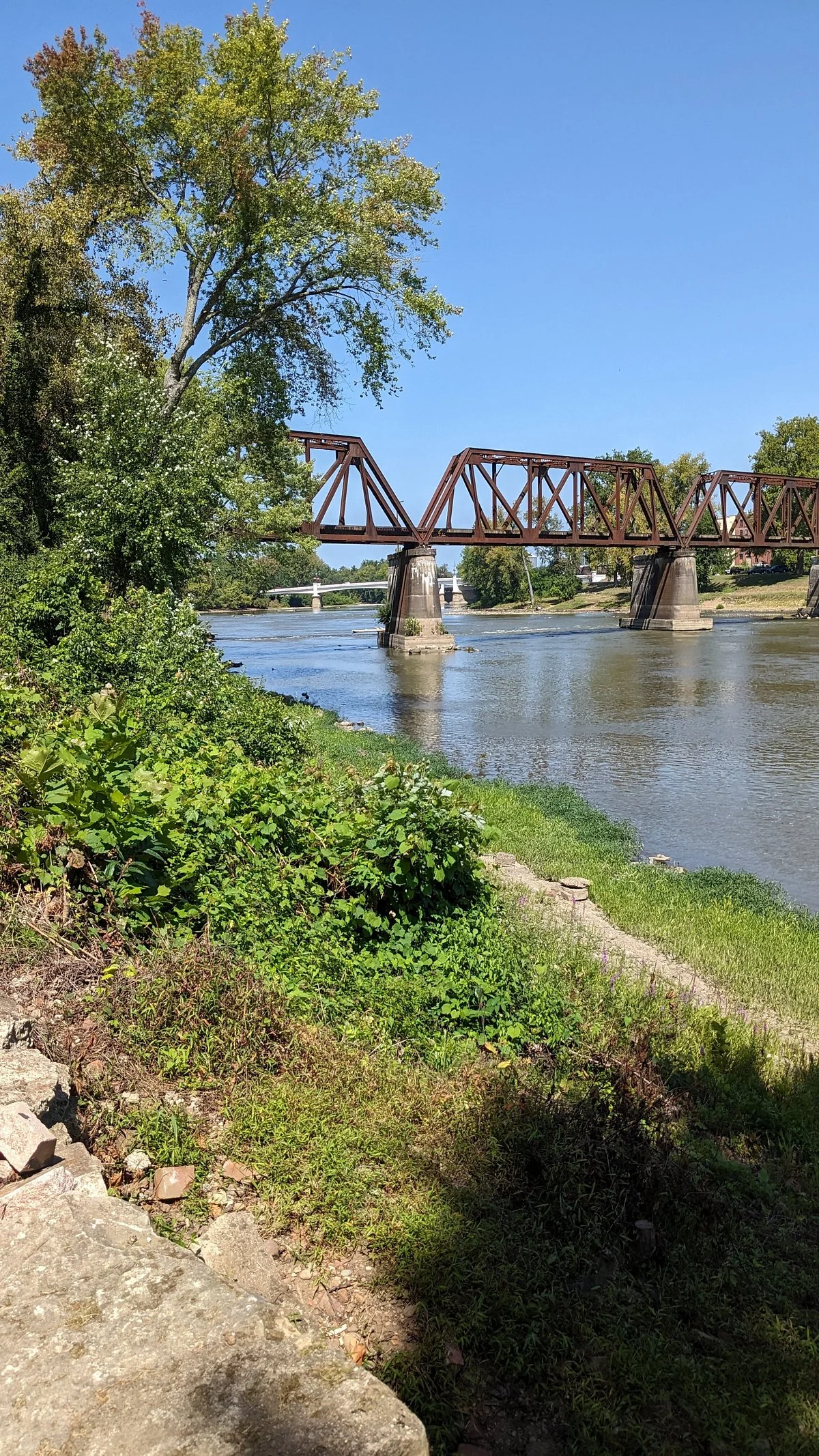 Y Bridge