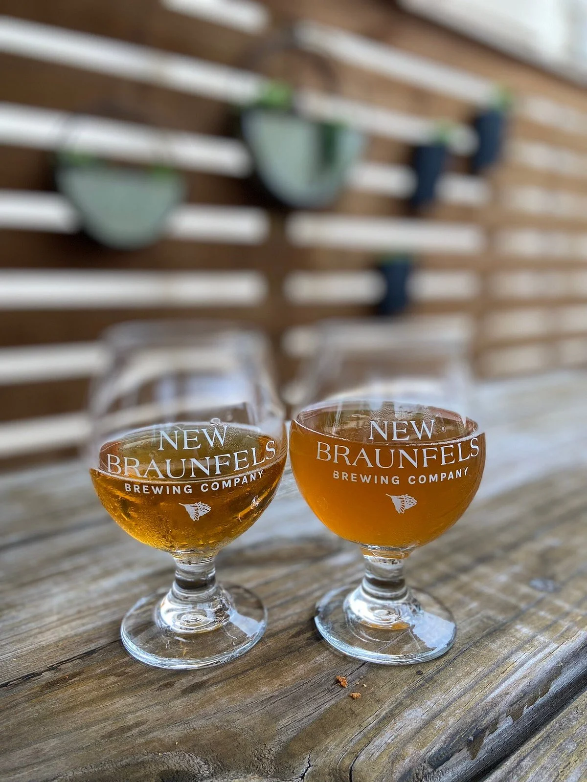 New Braunfels Brewing Co