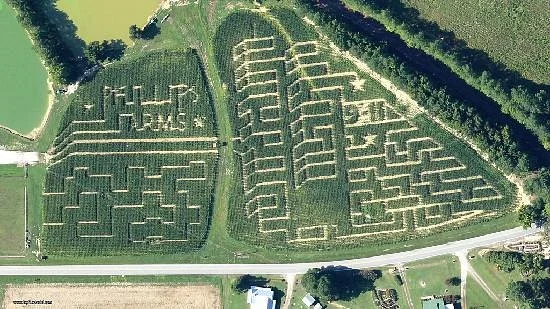 Phillips Farms of Cary