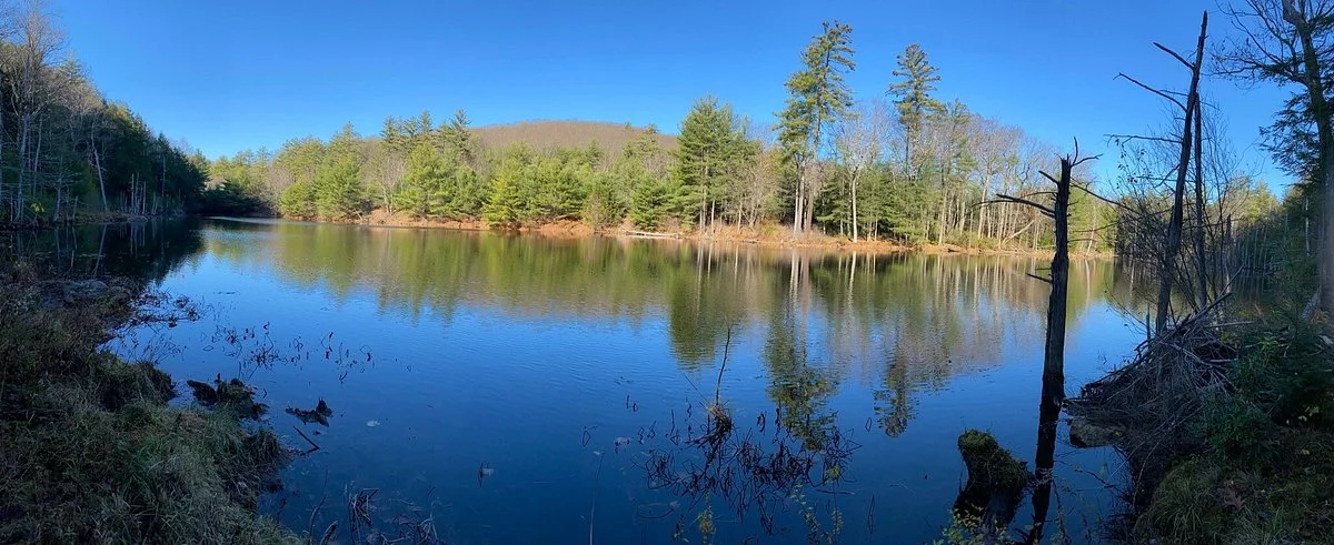 Bearsden Conservation Area