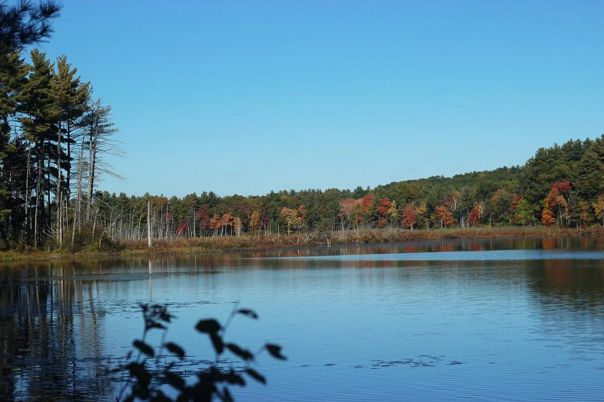 Assabet River National Wildlife Refuge