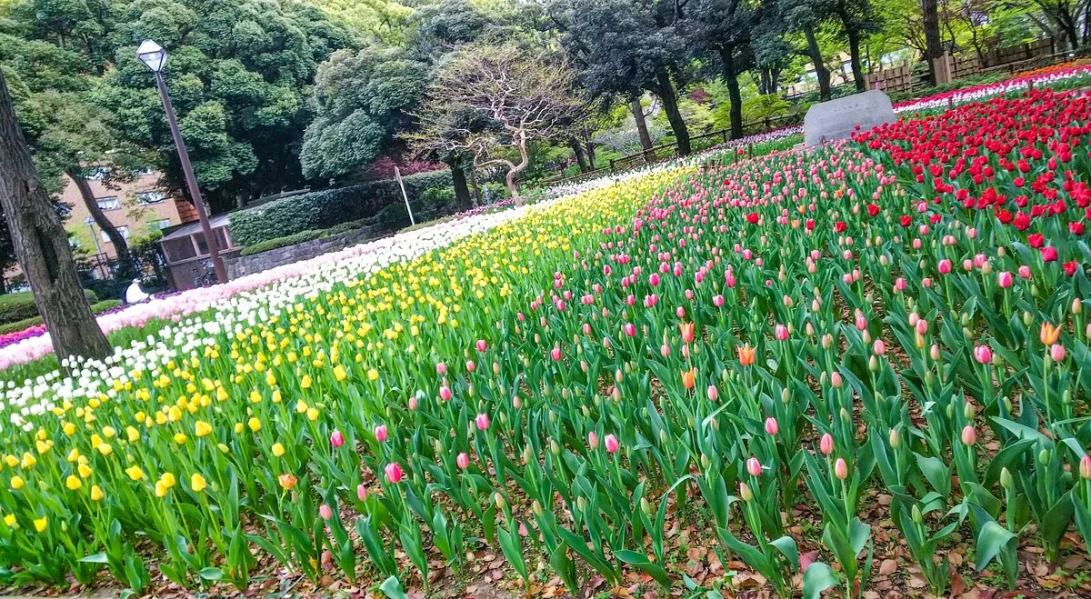 Yokohama Park