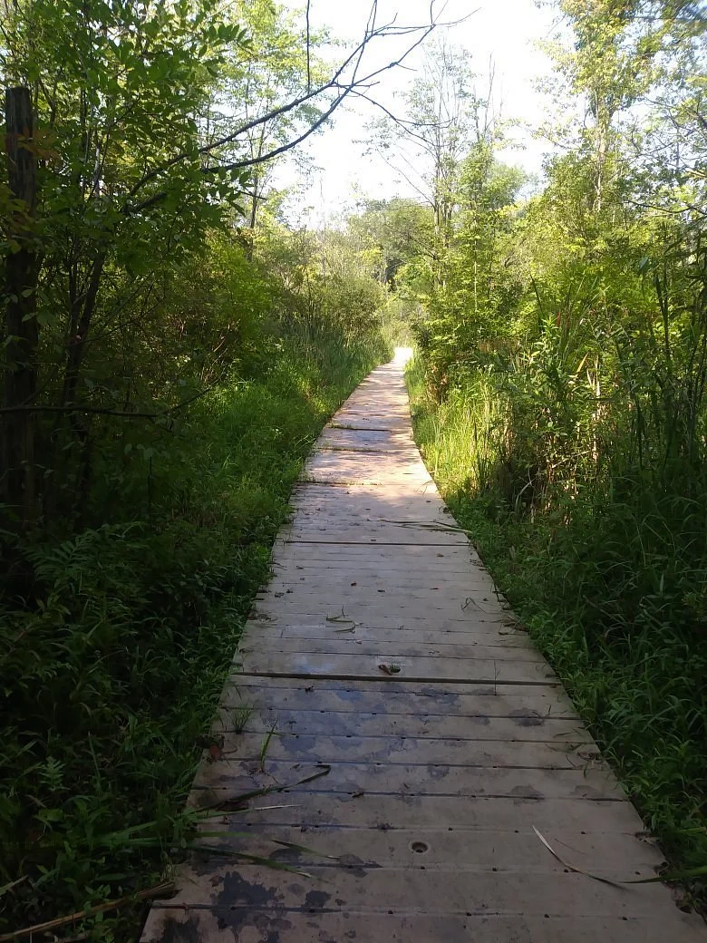 Lillian Anderson Arboretum