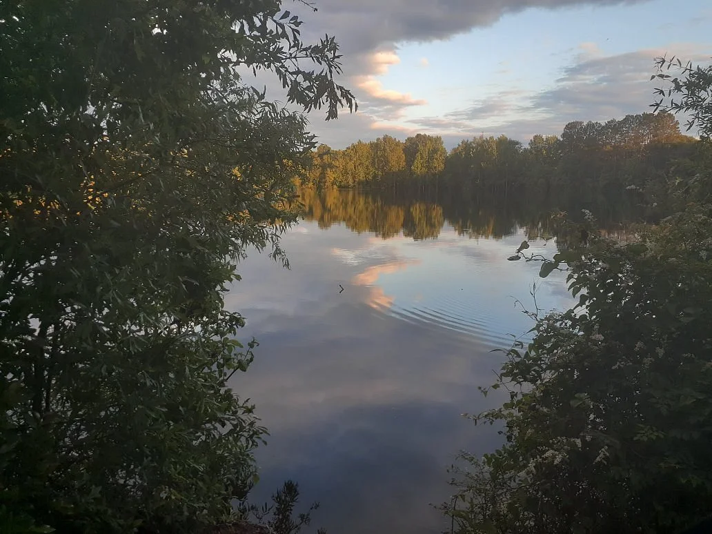 Walker's Pond