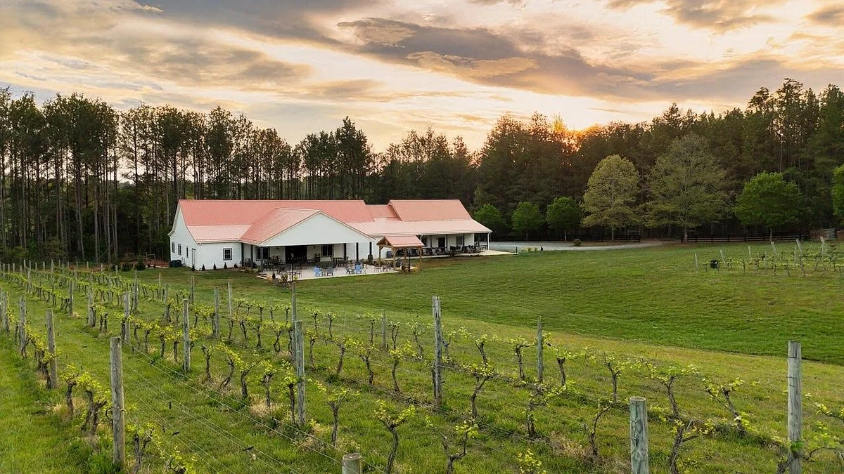 Hardware Hills Vineyard