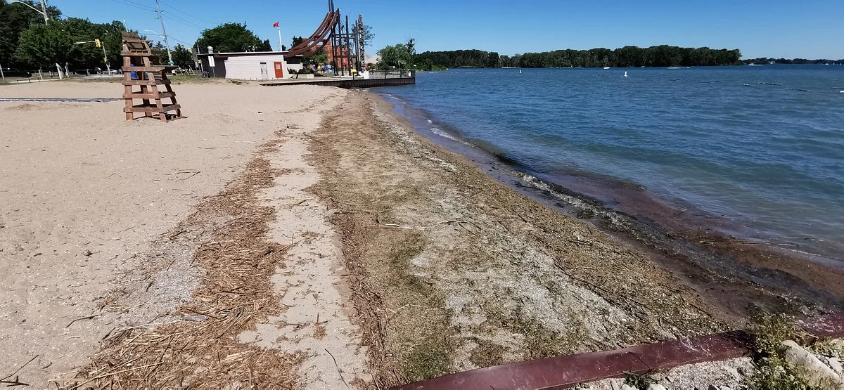 Sandpoint Beach