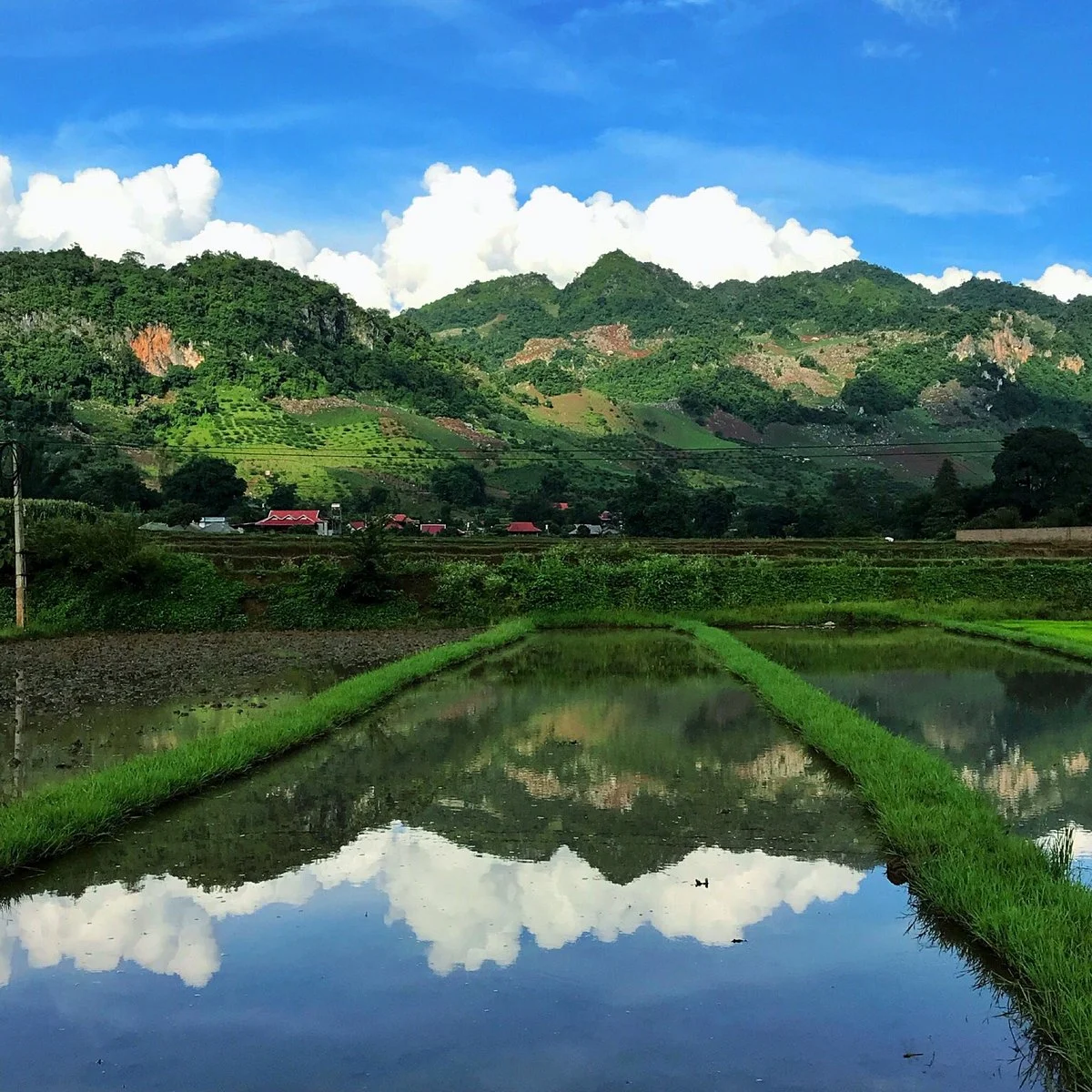 Moc Chau Plateau