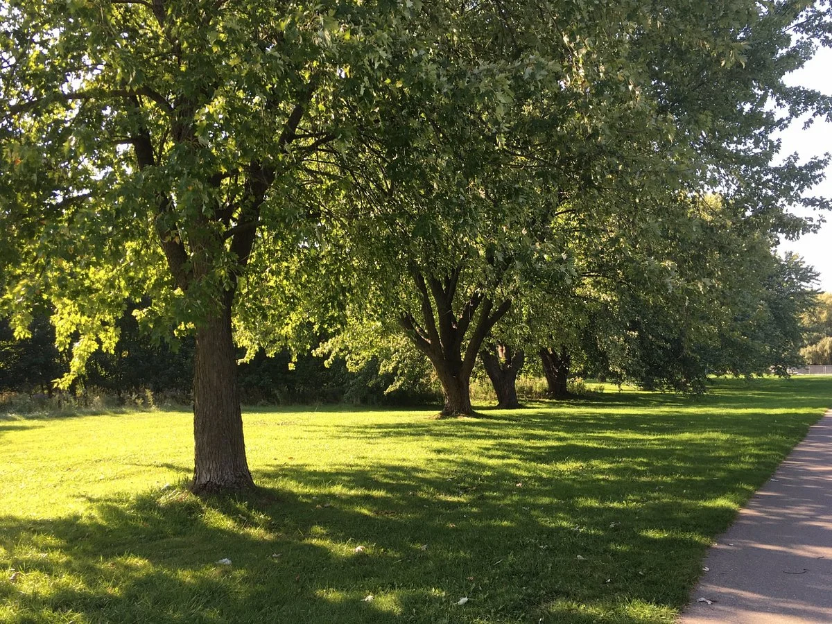 Kiwanis Park