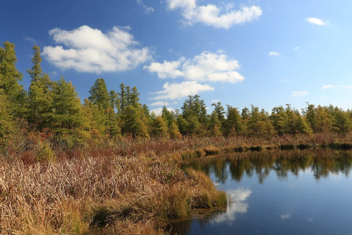 Volo Bog State Natural Area