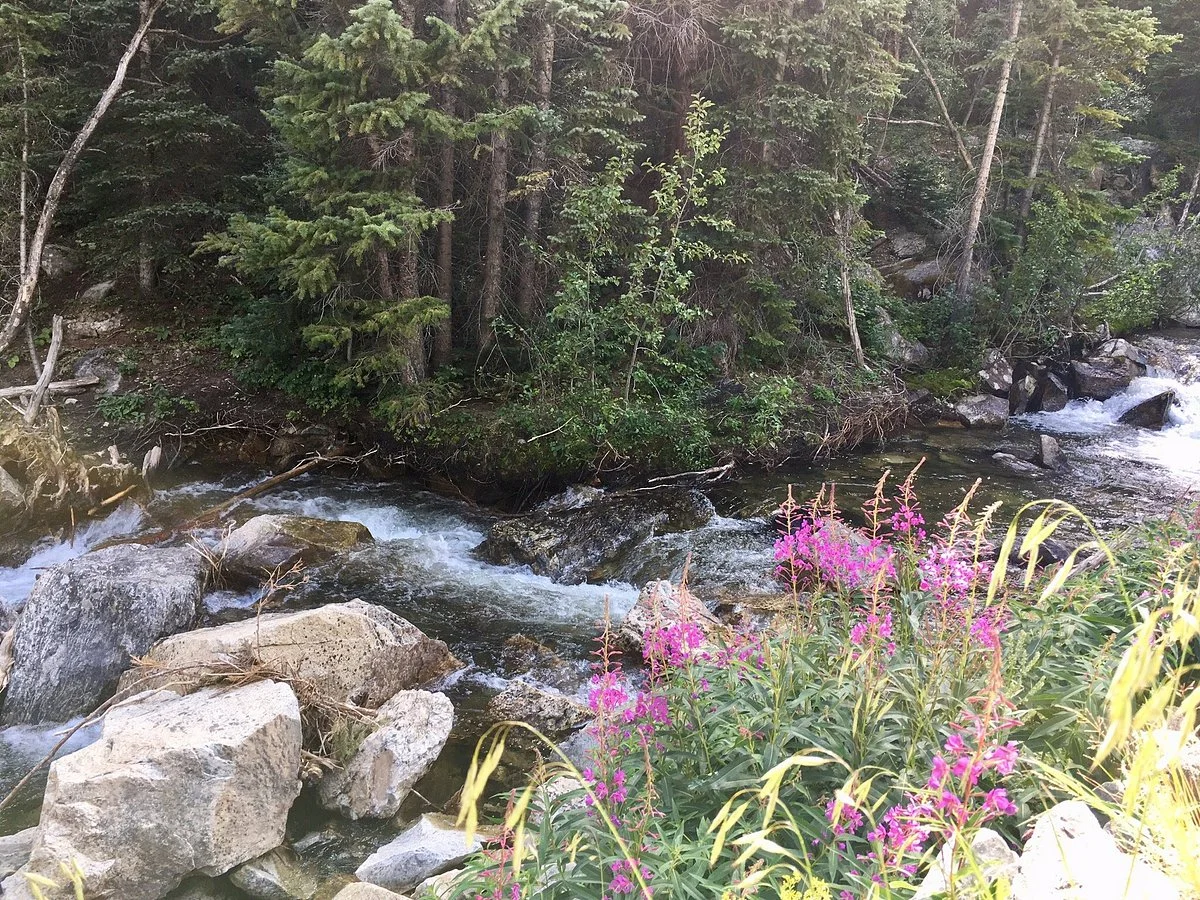 North Tenmile Trail #37