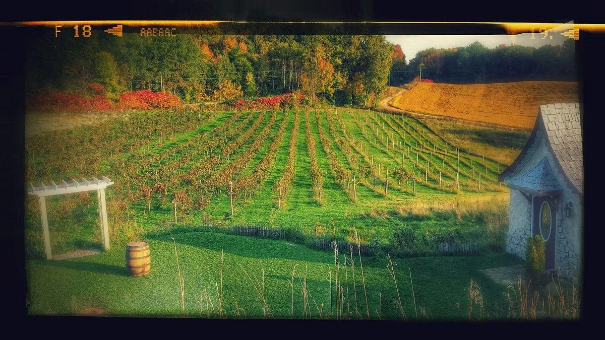 Cottage Winery and Vineyard
