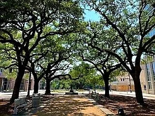 Downtown Greenway