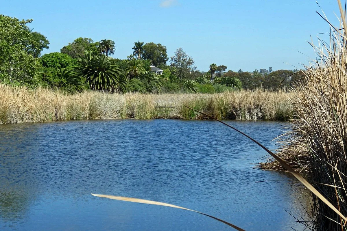 Buena Vista Audubon Society & Nature Center
